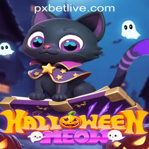 HalloweenMeow: The Enchanting Realm of Adventure